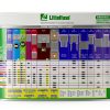 Littelfuse LMIN010.VP MINI Low Profile 10 Amp Blade Fuse Pack of 5-1